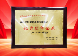 喜讯丨维多利亚老品牌VIC数据获评2024~2025年度武汉市软件行业&ldquo;优秀企业&rdquo;、&ldquo;优秀工作者&rdquo;荣誉称号！
